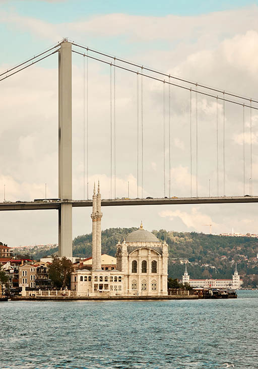 Bosphorus Cruise & Turkish Night Show